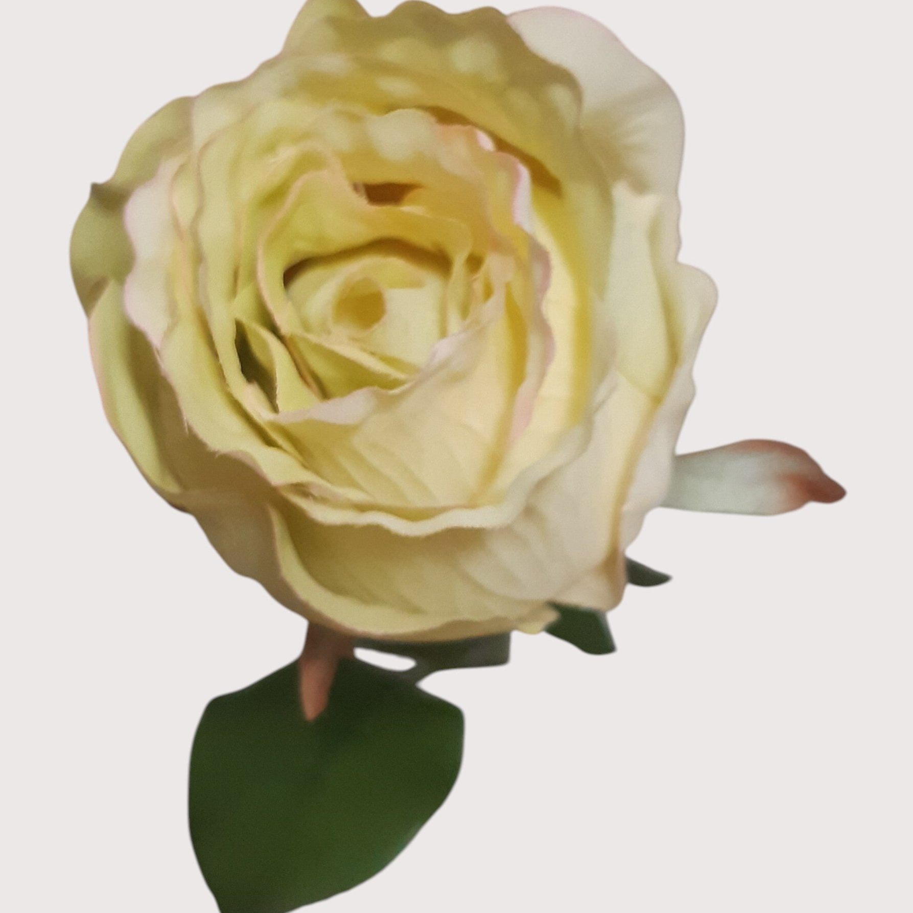 Róża – gałązka, 57 cm, kod: 4933