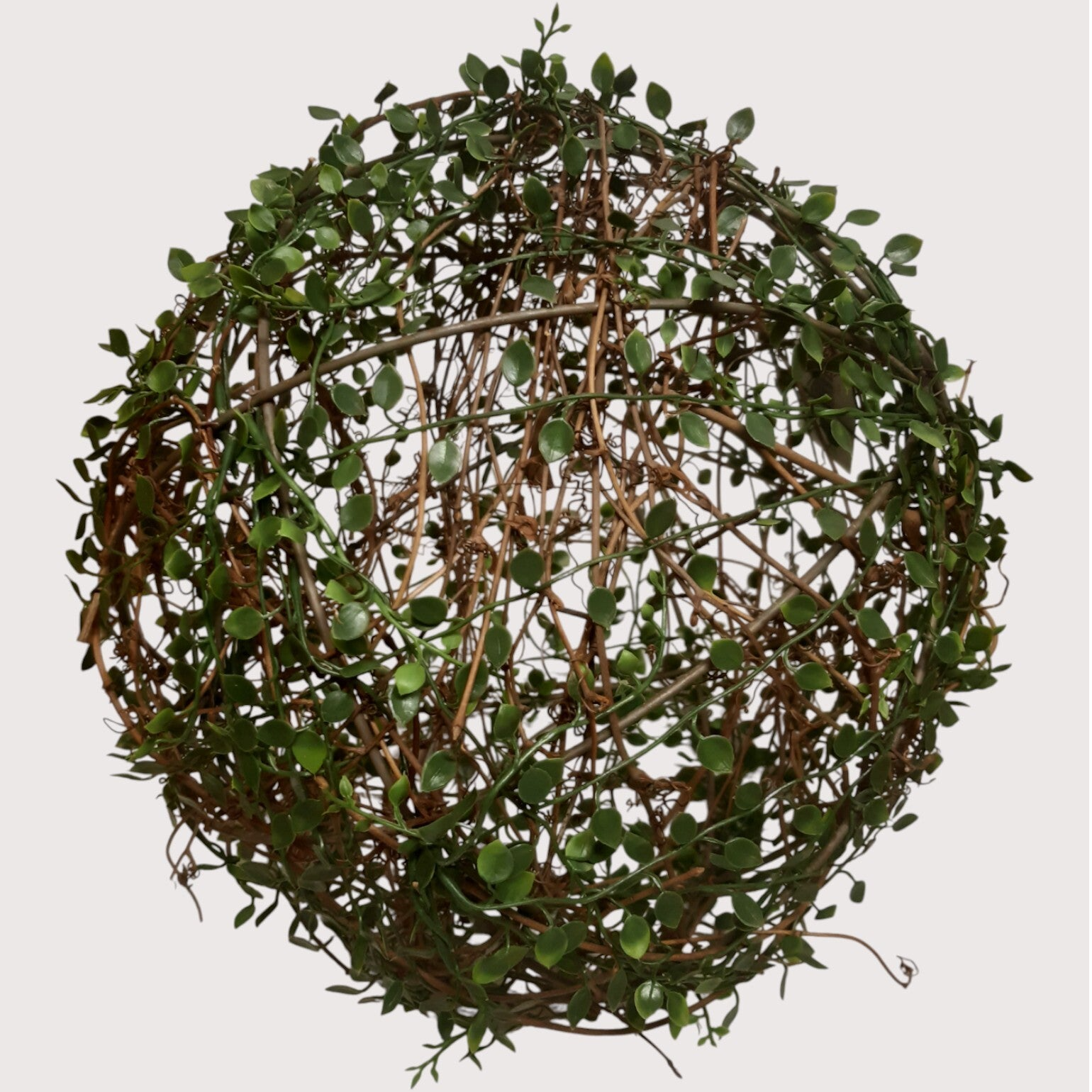 Callisia - kula dekoracyjna – 38 cm, kod: 5791