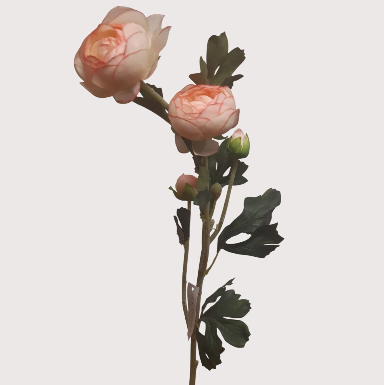 Pełnik – gałązka, 60 cm, kremowo-różowy, kod: 092253