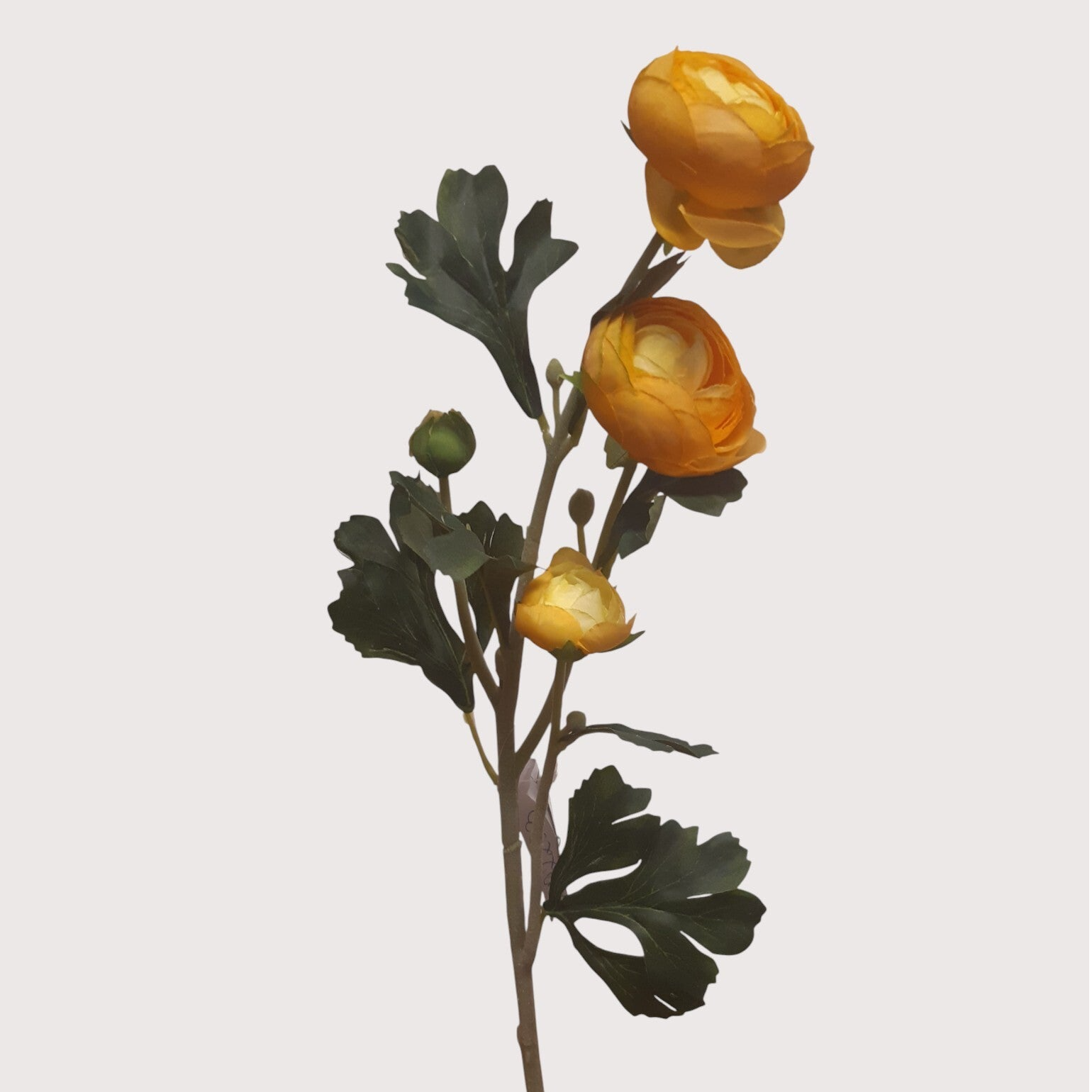 Pełnik – gałązka, 60 cm, żółty,  24 sztuki, kod: 092253