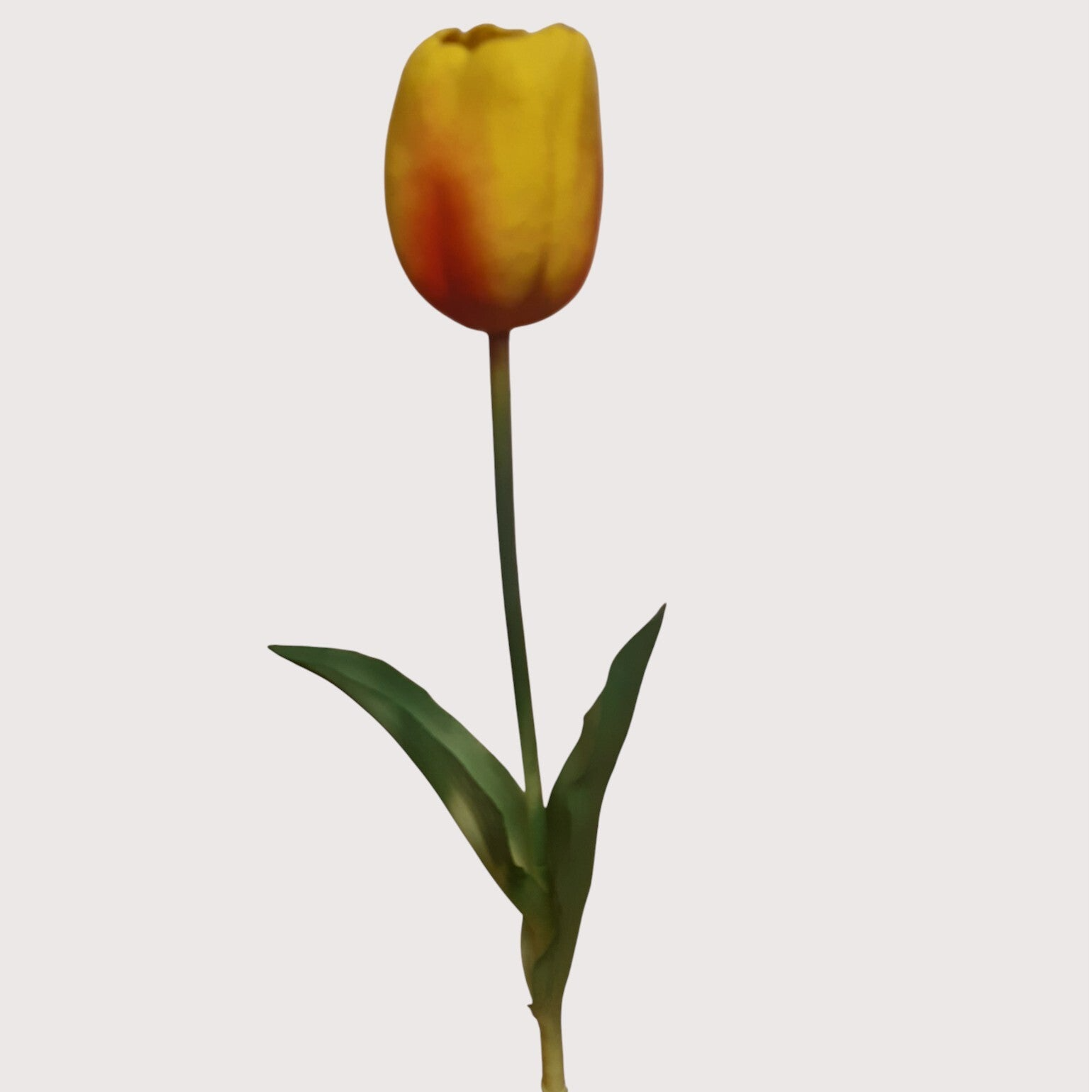 Tulipan silikonowy, 40 cm, żółty z pomarańczem, kod: 310