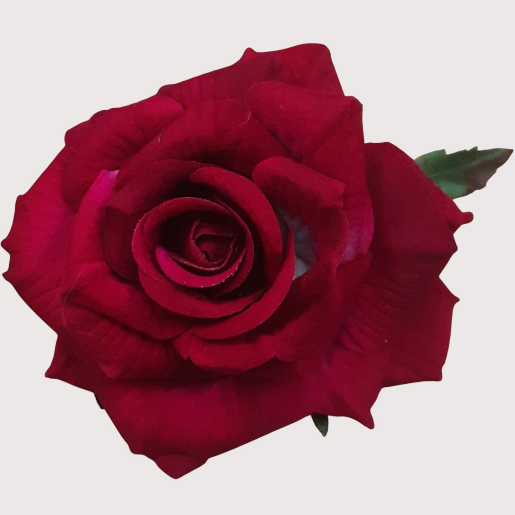 Róża wyrobowa velvet, czerwony, 5 cm, opakowanie 12 szt., kod: 480450