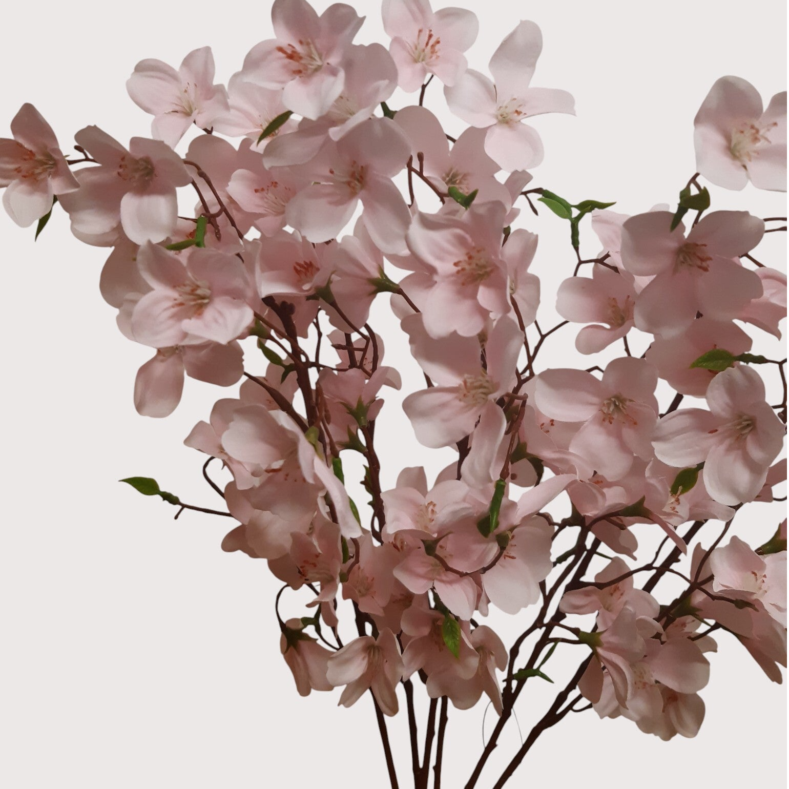 Jabłoń – wiązka dekoracyjna, 55 cm, kod: 499