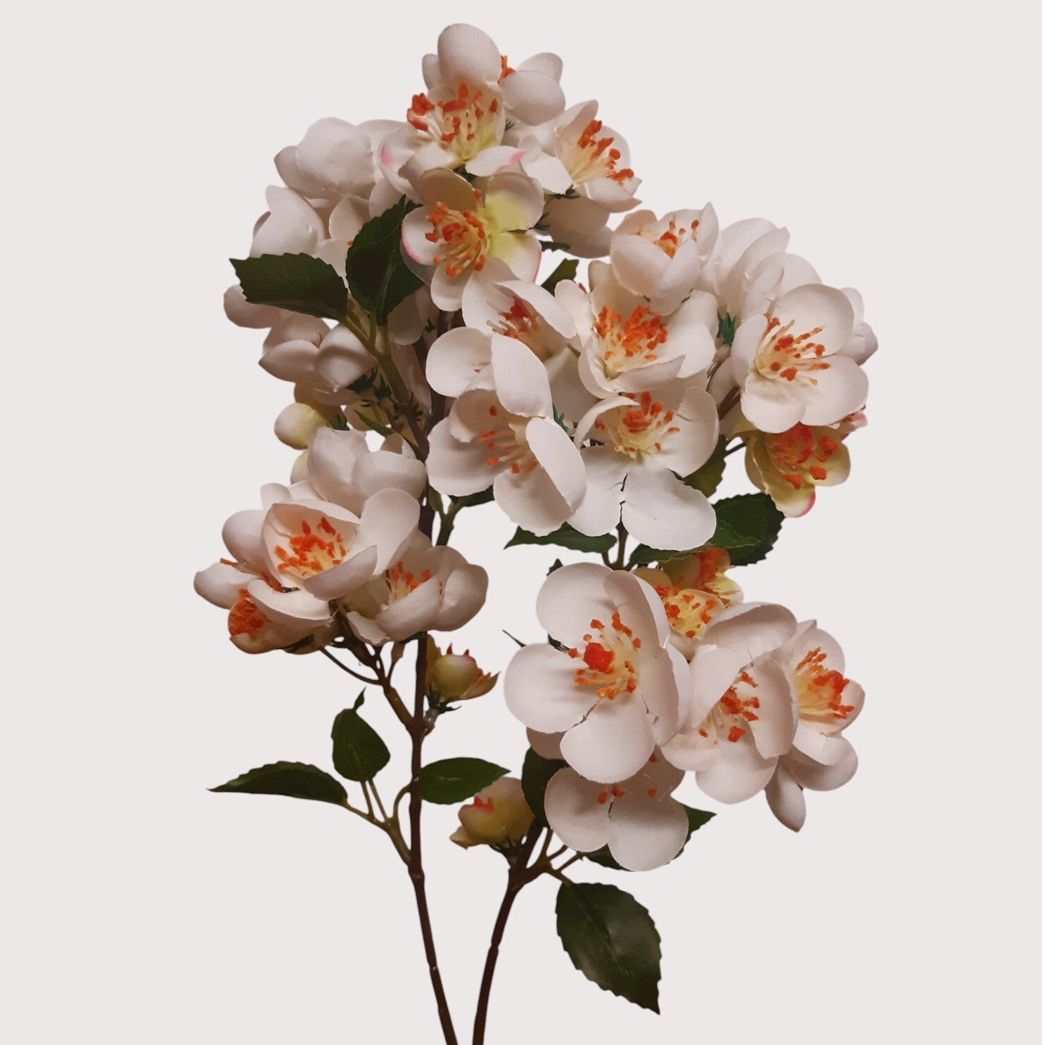 Jabłoń – kwitnąca gałązka, 60 cm, kod: 24787