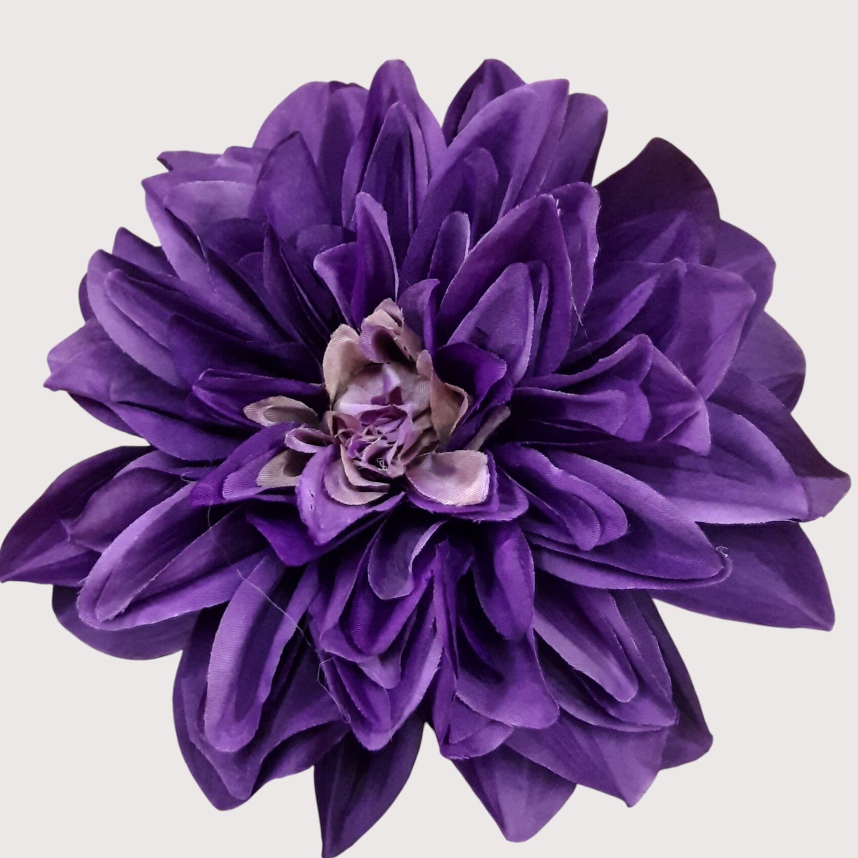 Dalia wyrobowa, 18 cm, fiolet, opakowanie 6 szt., kod: 60067