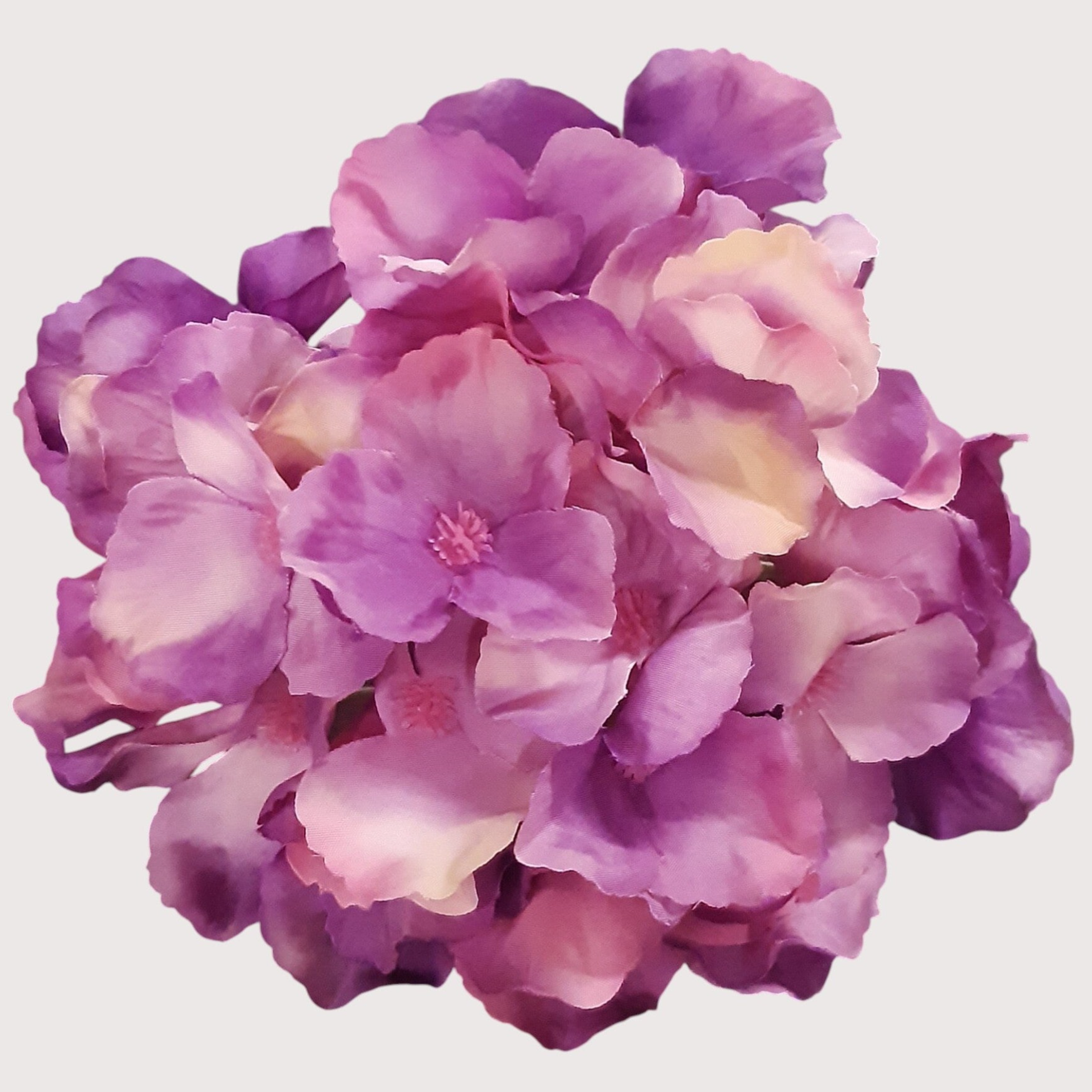 Hortensja wyrobowa, 15 cm, lavender, kod: 644