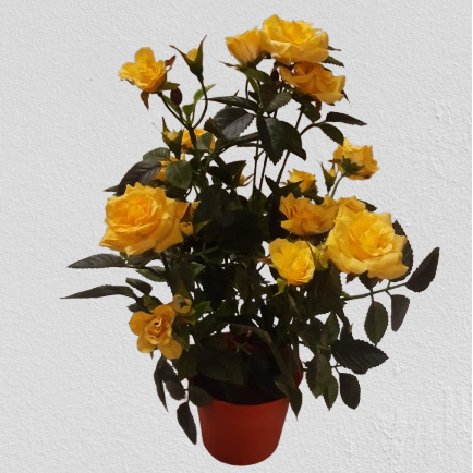 Róża mini 33 cm, kod: 1801