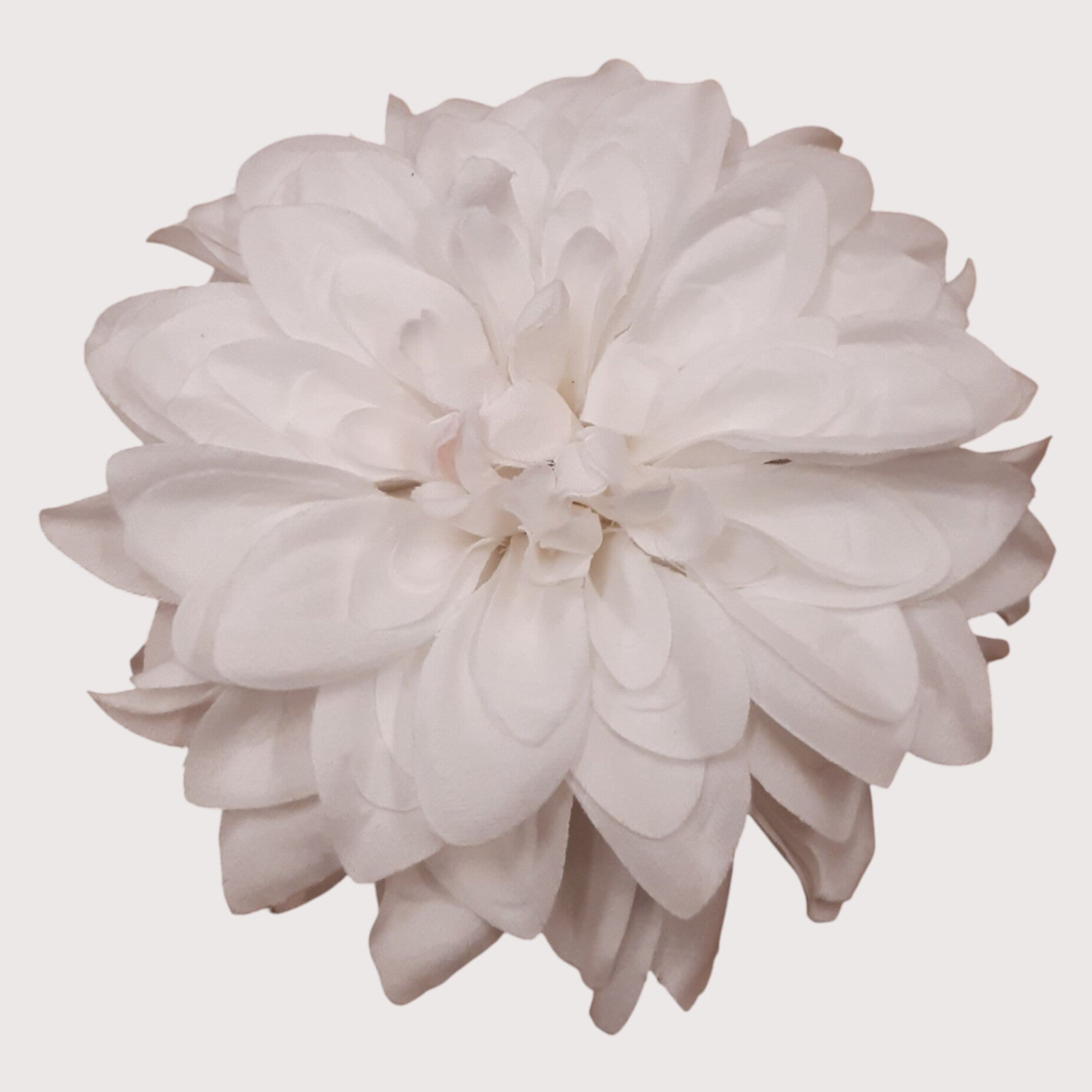 Gerbera wyrobowa, 14 cm, kod: 60067