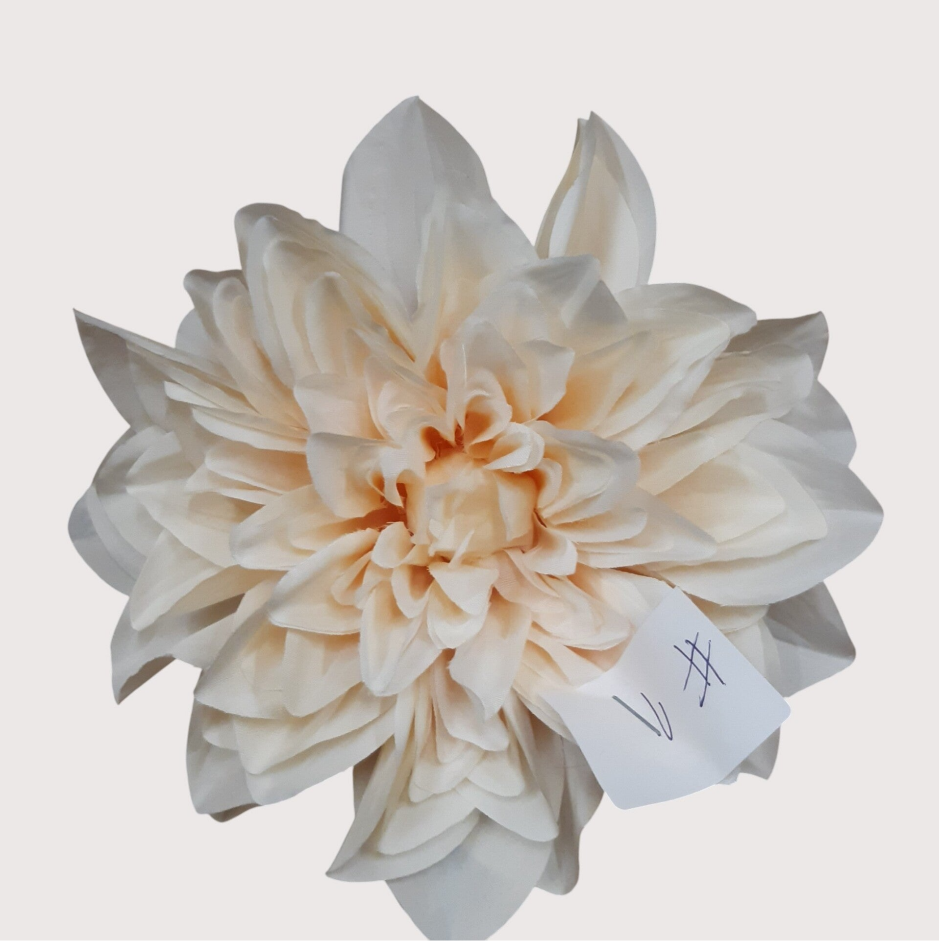 Dalia wyrobowa, 18 cm, cream, opakowanie 6 szt., kod: 60067