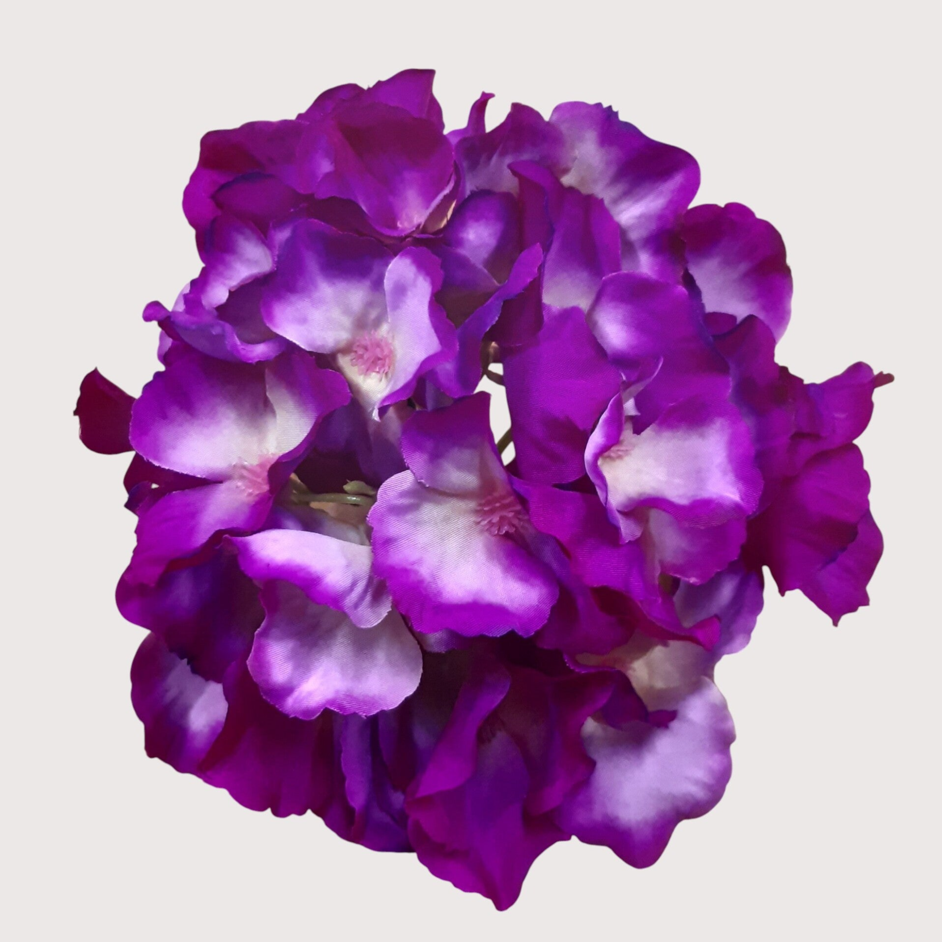 Hortensja wyrobowa, 15 cm, purple, kod: 644