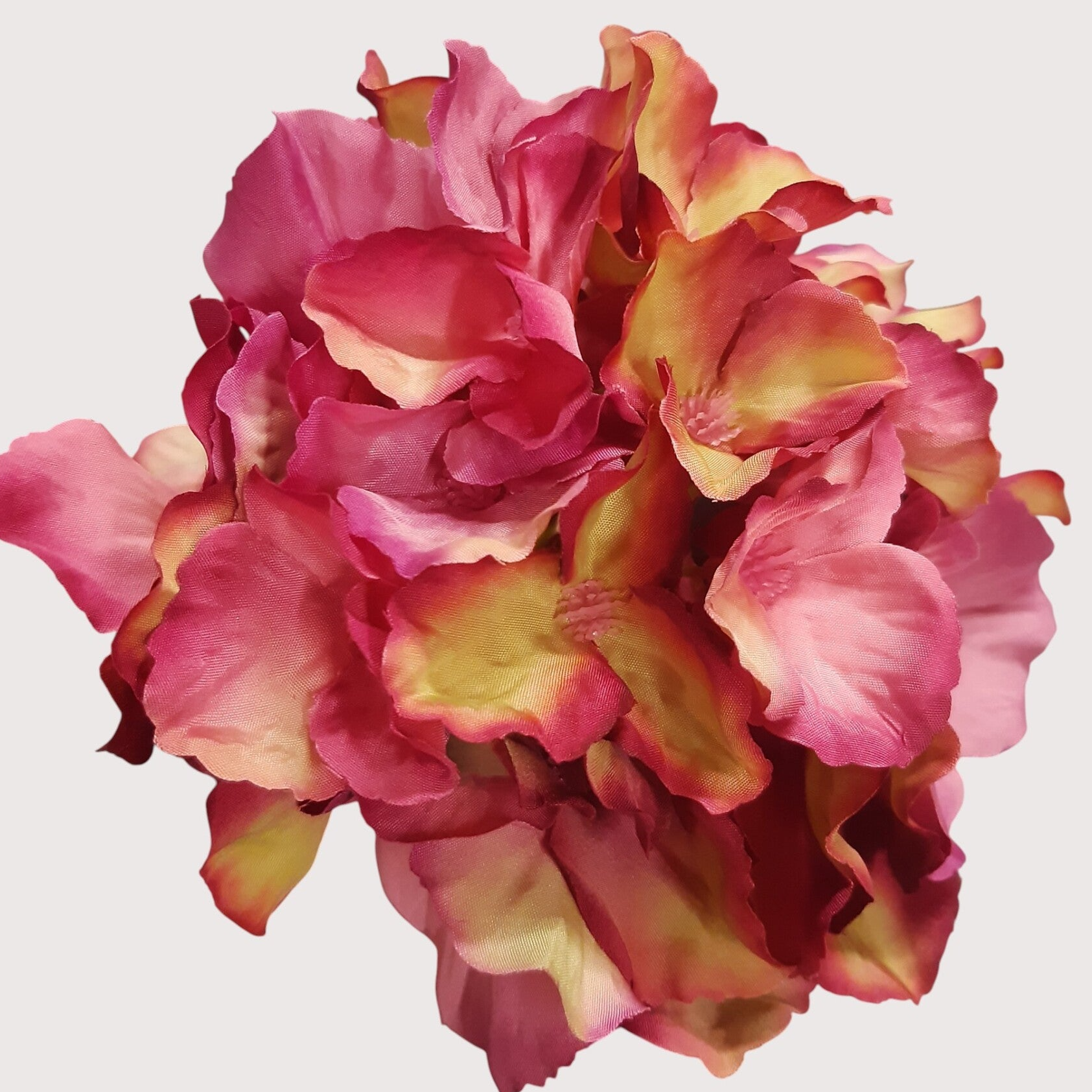 Hortensja wyrobowa, 15 cm, fioletowo-zielony, kod: 644