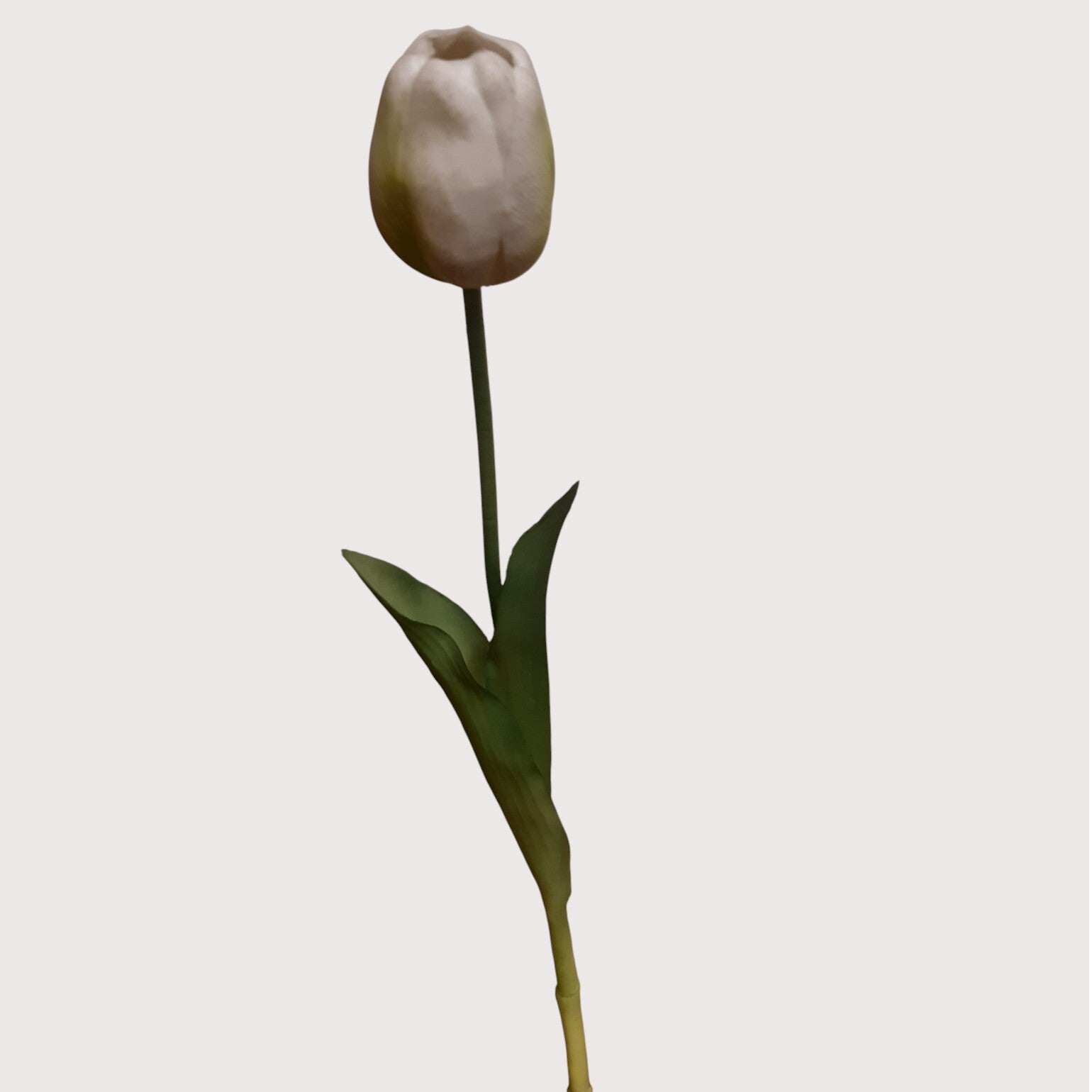 Tulipan silikonowy, 40 cm, biały, kod: 310