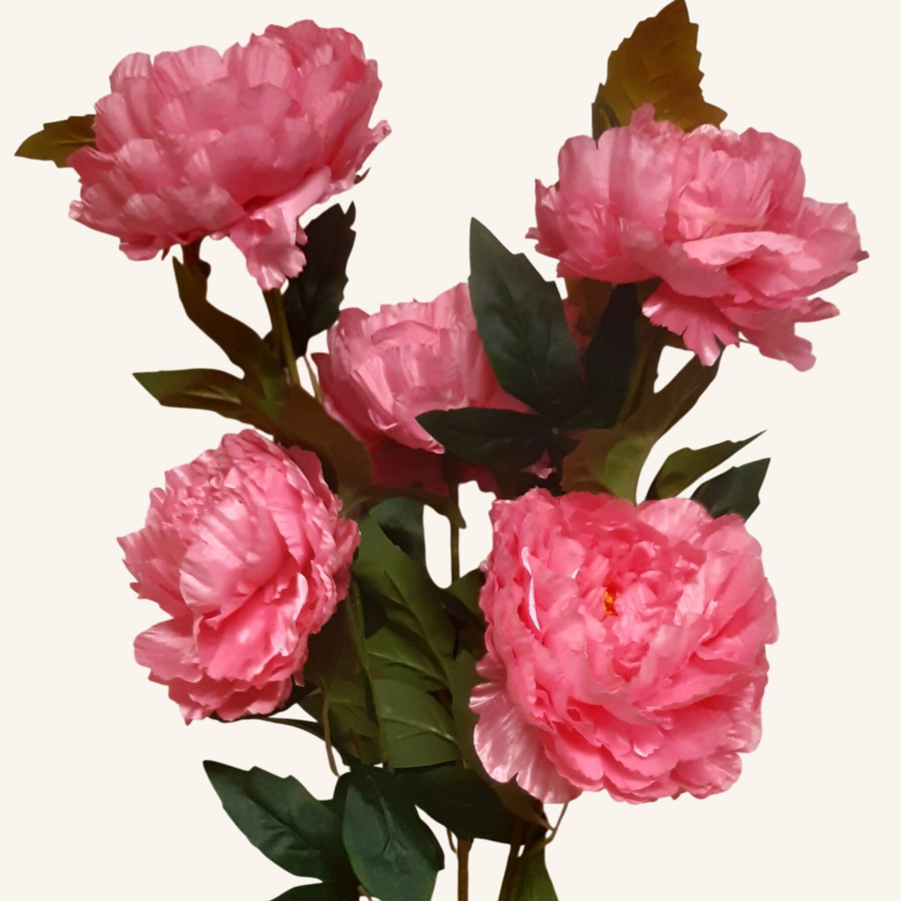 Piwonia – pik 3 gałązki, 7 kwiatów 70 cm, różowy, kod: 24651