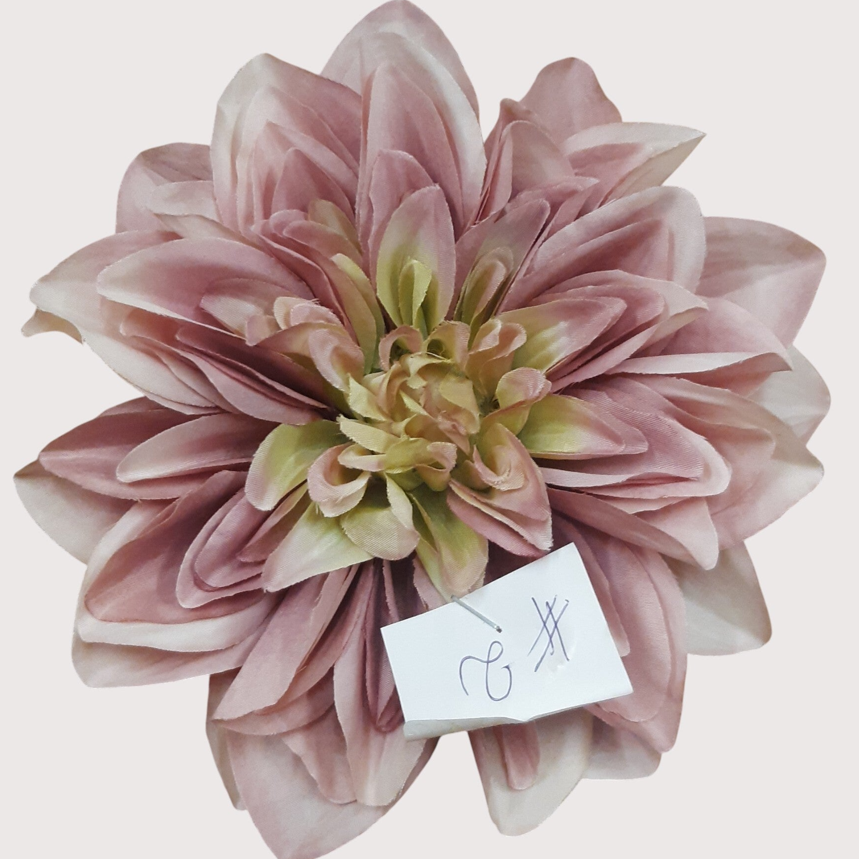 Dalia wyrobowa, 18 cm, odcienie fioletu, opakowanie 6 szt., kod: 60067