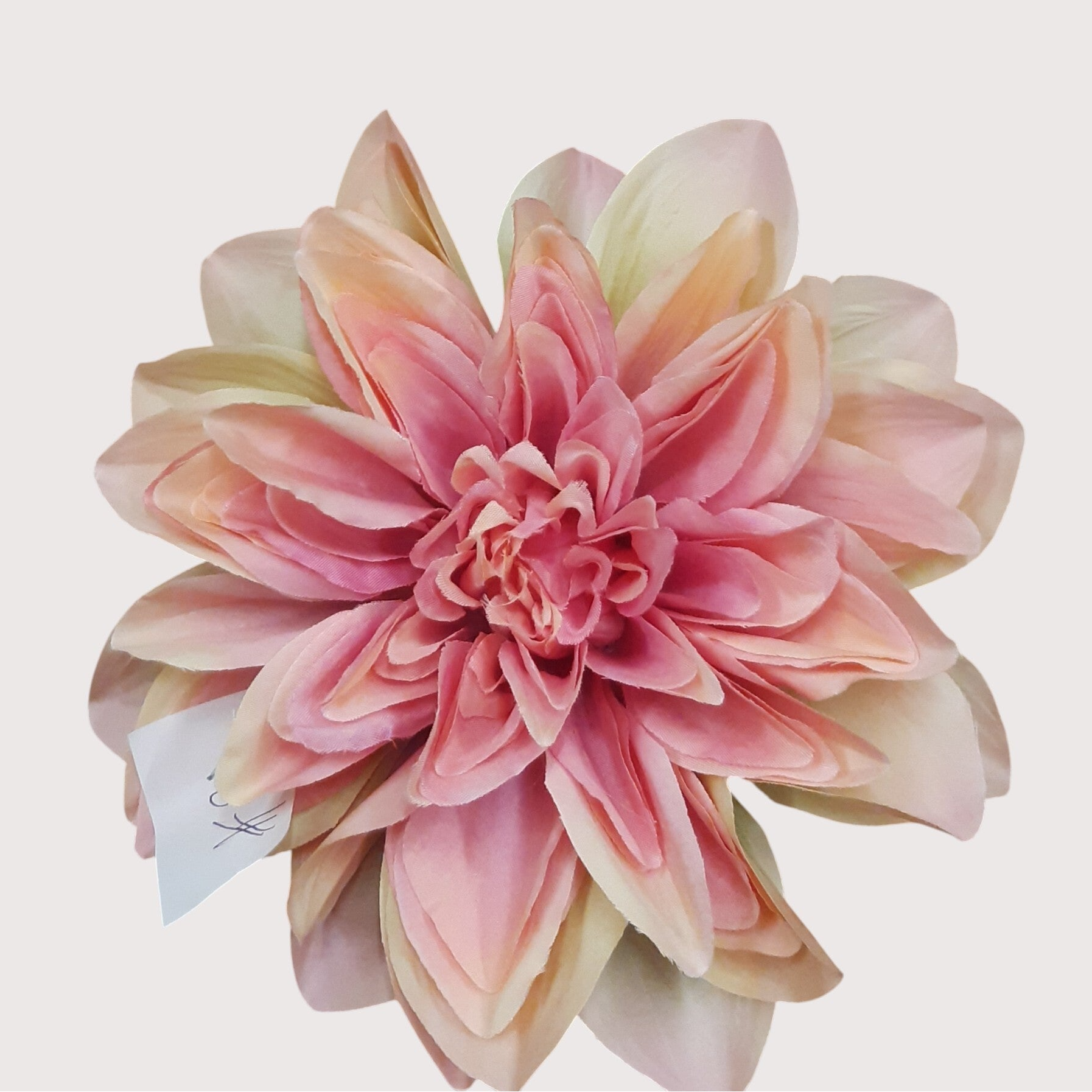 Dalia wyrobowa, 18 cm, róż z zielonym, opakowanie 6 szt., kod: 60067