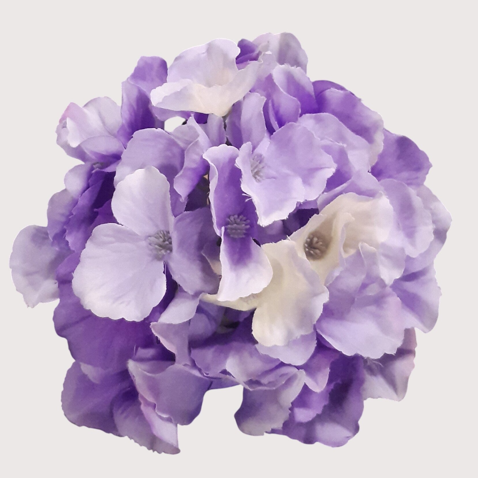 Hortensja wyrobowa, 15 cm, LT violet, kod: 644