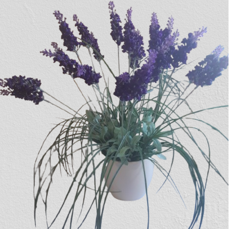 Lawenda w doniczce ceramicznej 45 cm, kod: 35155
