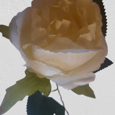 Róża gałązka – 55 cm, krem, kod: 354