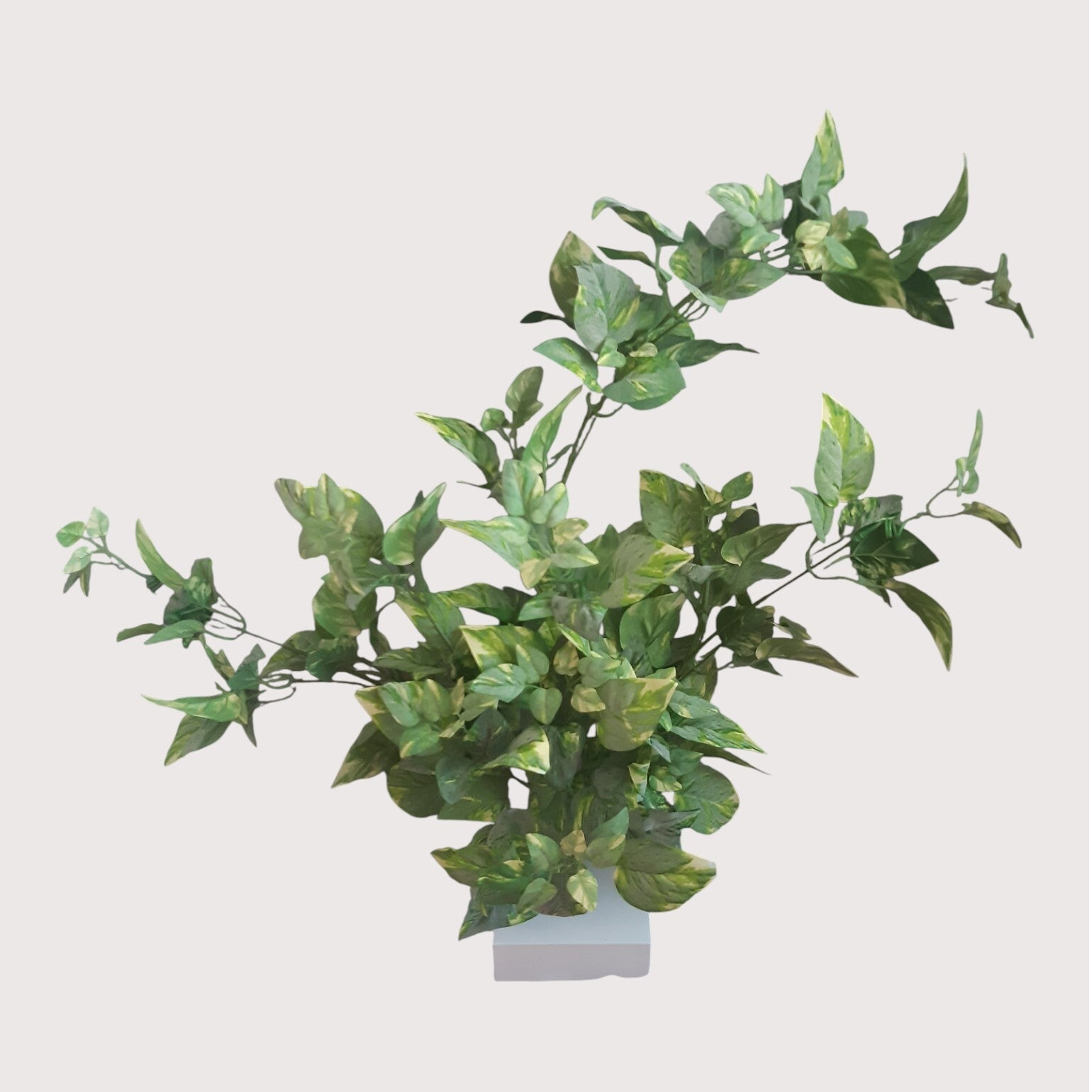 Bluszcz flokowany na piku, 80 cm, kod: 23012