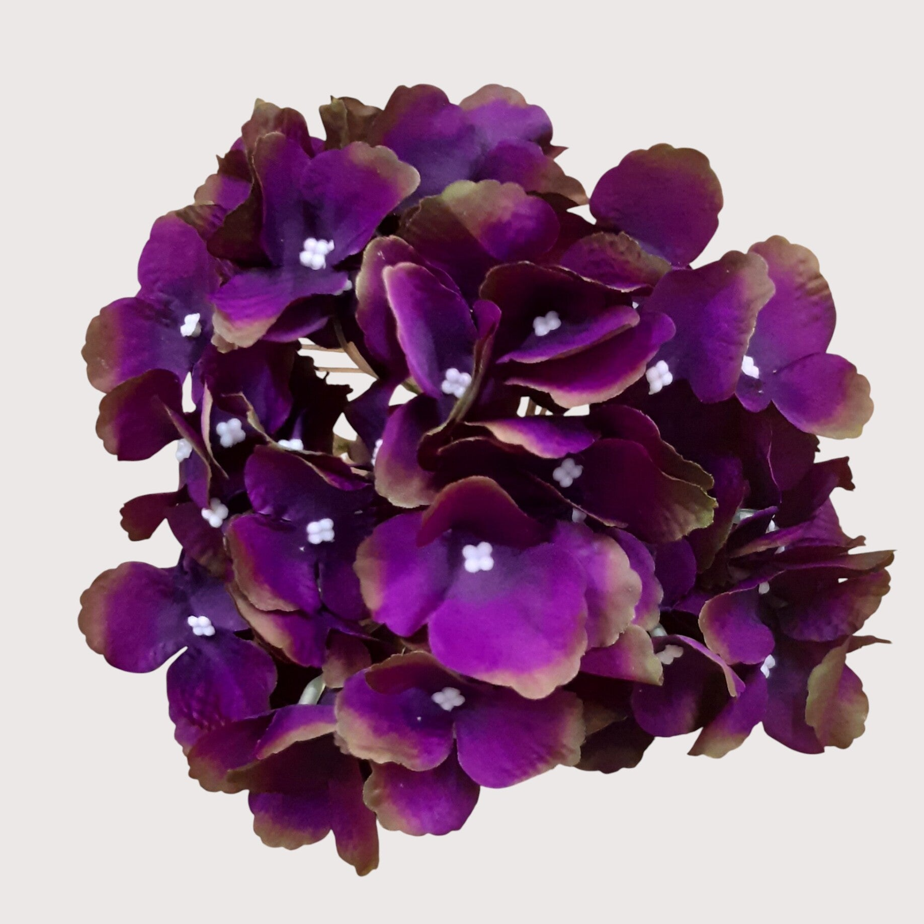 Hortensja wyrobowa, 20 cm, ciemny fiolet, kod: 11171