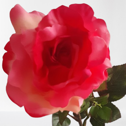 Róża – gałązka, 82 cm, kod: 4915