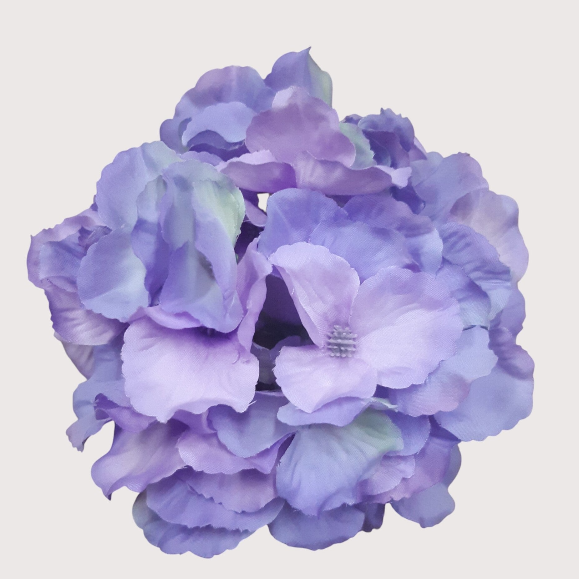 Hortensja wyrobowa, 15 cm, violet, kod: 644