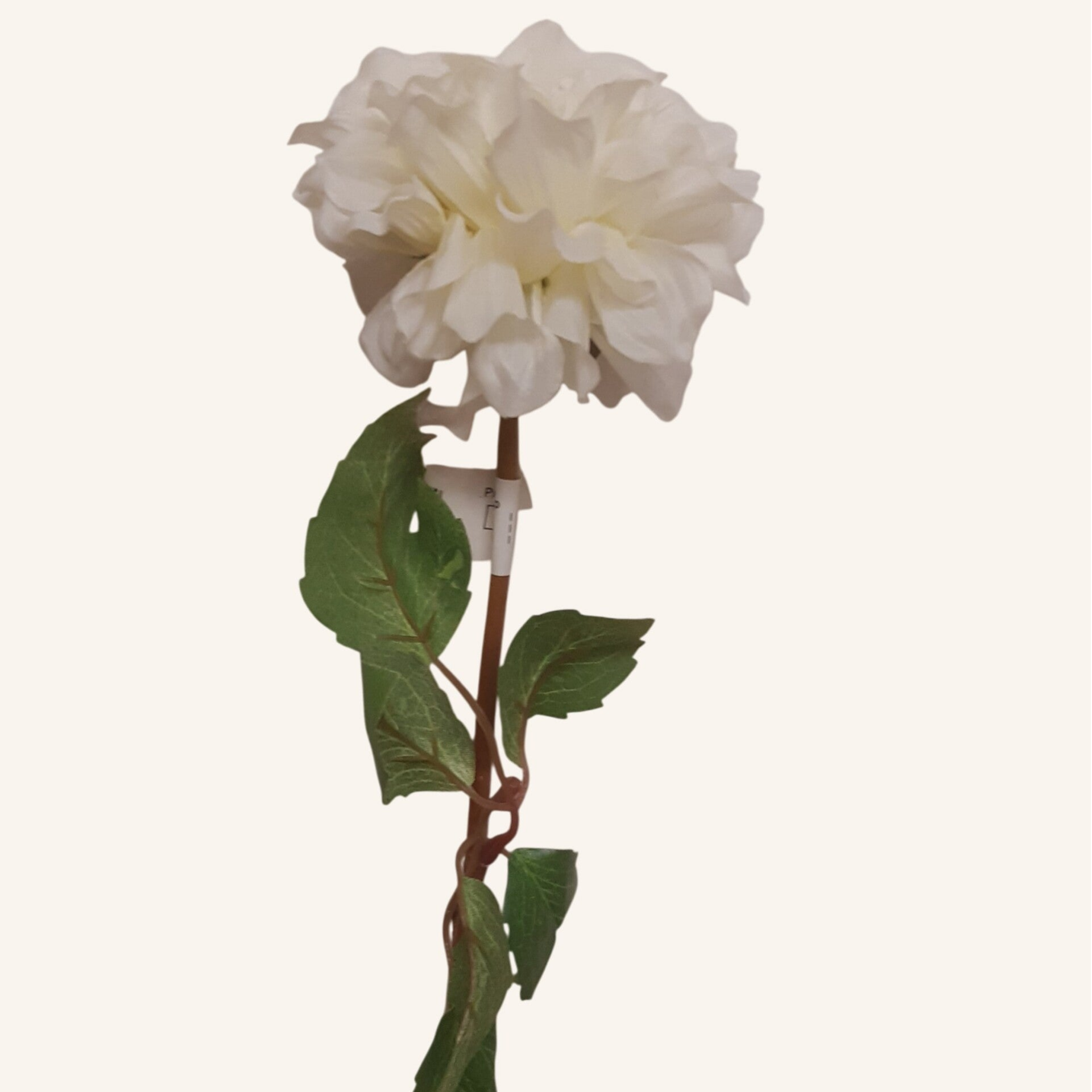 Dalia – gałązka, 32 cm, biały, kod: 54467