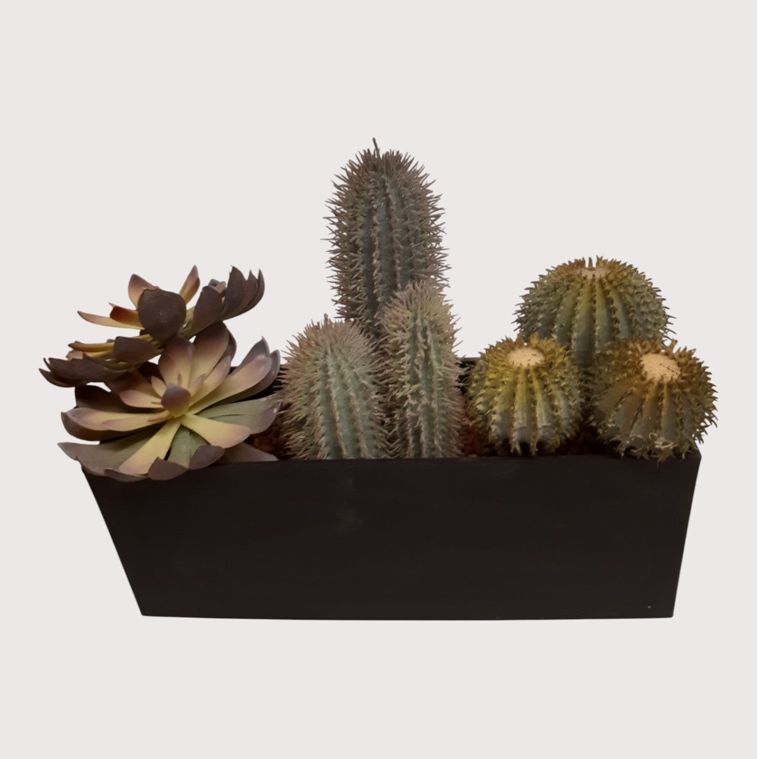 Kaktus – kompozycja w doniczce, 30 cm, kod: 1452902