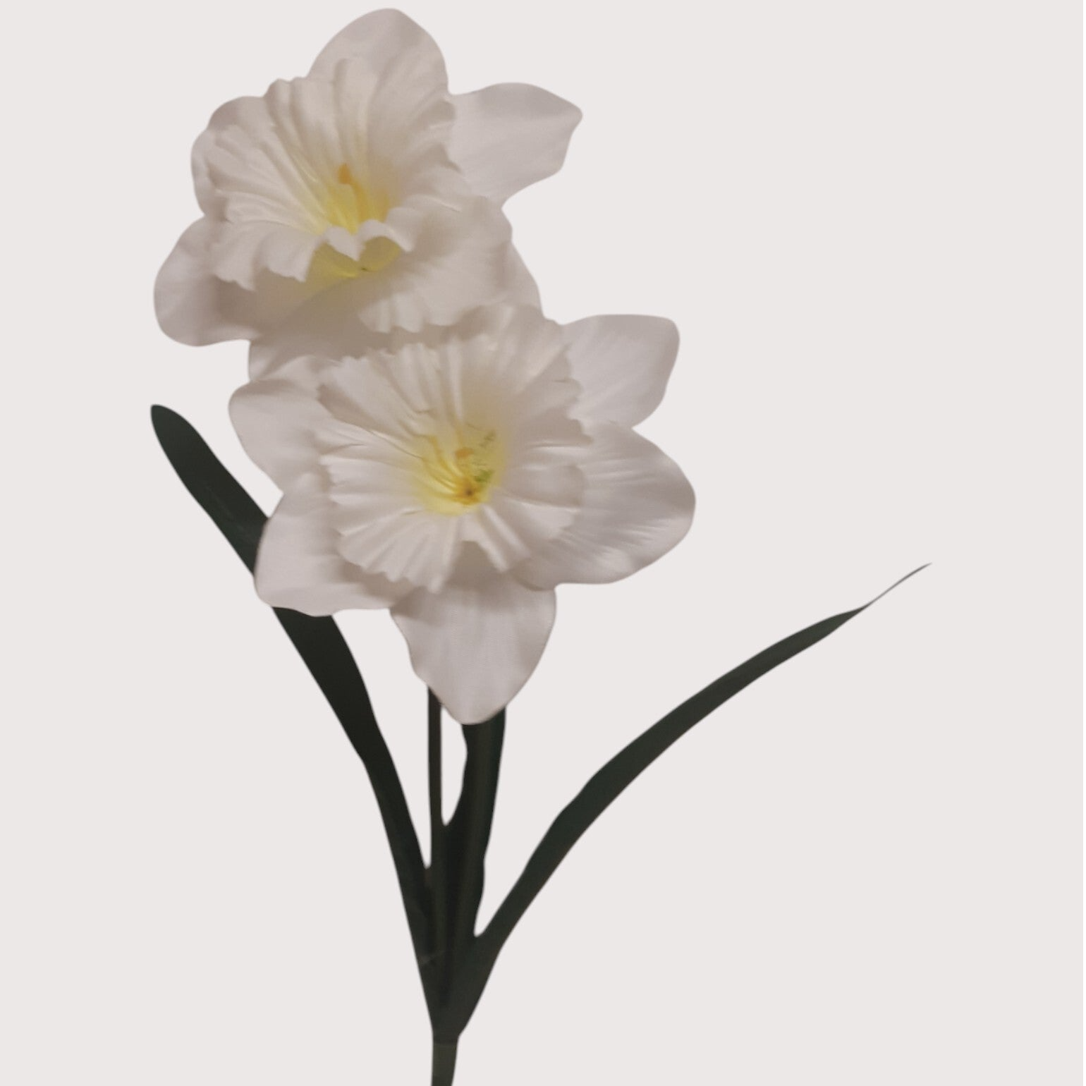 Żonkil – gałązka dekoracyjna, 50 cm, biały, kod: 223