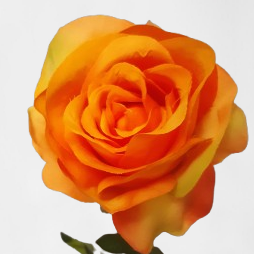 Róża – jedwabny kwiat, 67 cm, żółta, ( 12 sztuk )