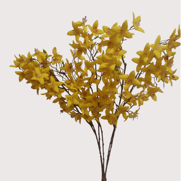 Forsycja – wiązka dekoracyjna, 60 cm, kod: 501