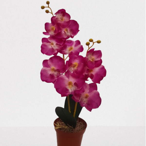 Storczyk Phalaenopsis, satyna 50 cm, 4 kolory, 12 sztuk kod: 61006
