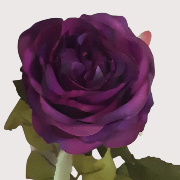 Róża, 60 cm, fiolet, kod: 111-1007