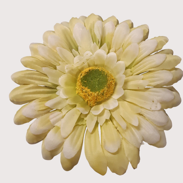 Gerbera wyrobowa, 12 cm, opakowanie 12 szt., kod: 909