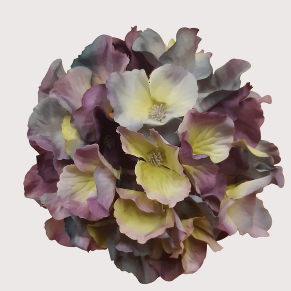 Hortensja wyrobowa, 15 cm, grape, kod: 644