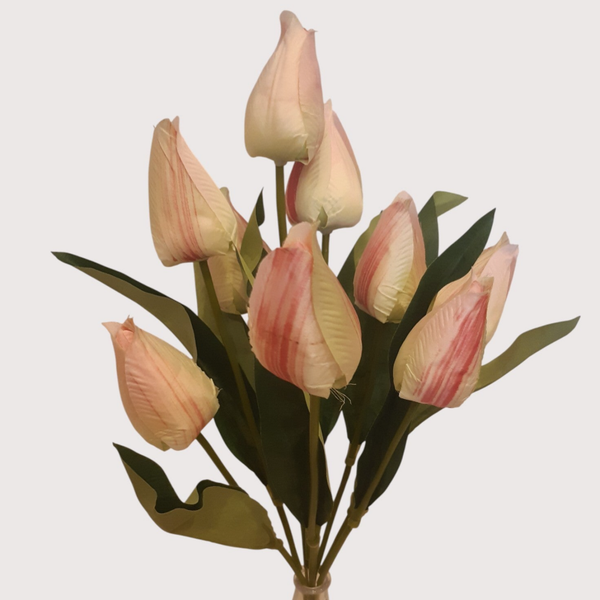 Tulipan – bukiet 9 kwiatów 48 cm, biało różowy, kod: 2209