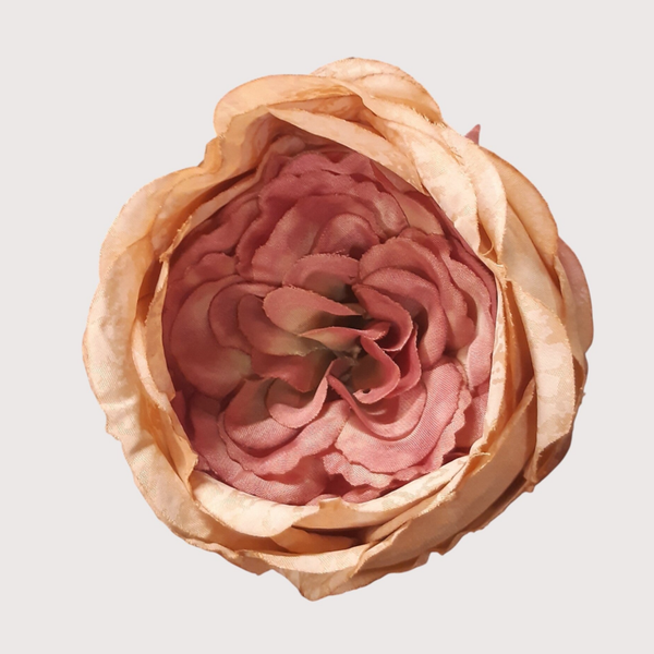 Róża wyrobowa, 9 cm, herbaciany, opakowanie 12 szt., kod: 5033