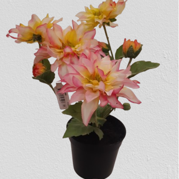 Dalia 31 cm kod: 726