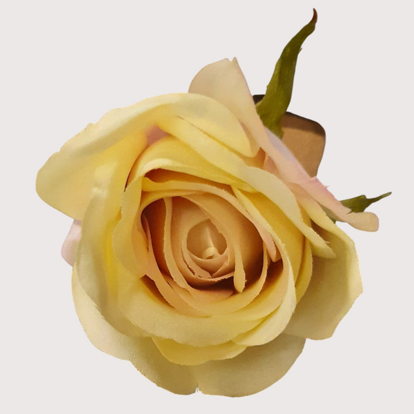 Róża wyrobowa, 6 cm, żółto-fioletowy,  opakowanie 12 szt., kod: 480297