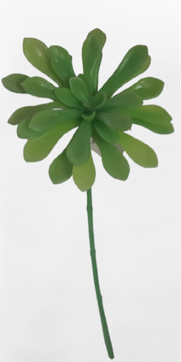 Eszeweria na piku, 40 cm, kod: 498