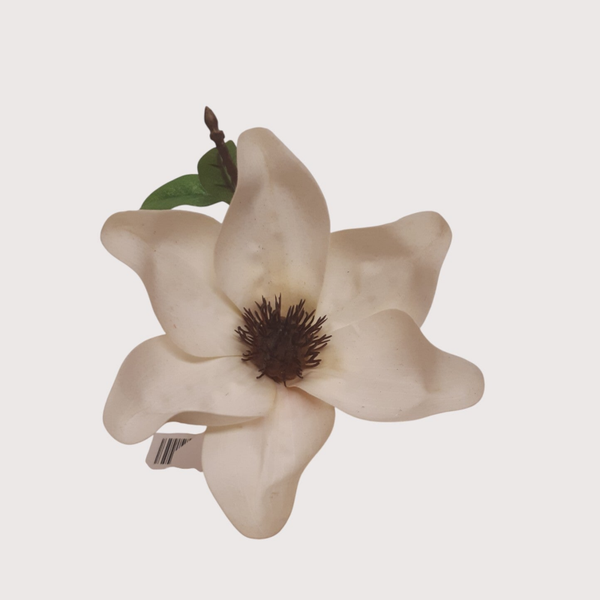 Magnolia – na piku, 15 cm, kod: 994289