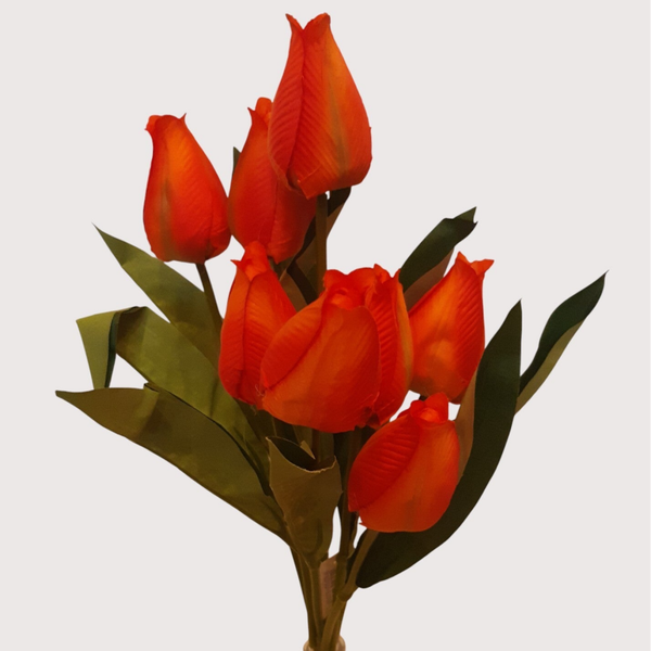 Tulipan – bukiet 9 kwiatów 48 cm, pomarańczowy, kod: 2209