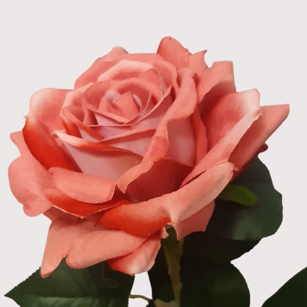 Róża welur, 75 cm, pomarańcz, kod: 3809