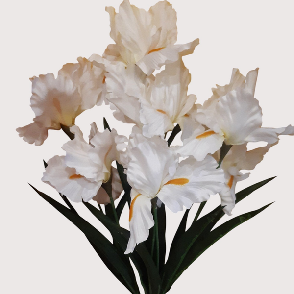 Irys – bukiet 7 kwiatów z liśćmi 60 cm, biały, kod: 8192