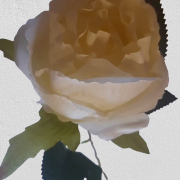 Róża gałązka – 55 cm, krem, kod: 354