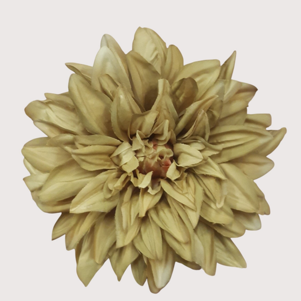 Dalia wyrobowa, 18 cm, oliwka, opakowanie 12 szt., kod: 60067