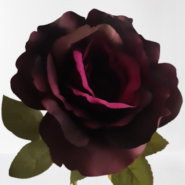 Róża – gałązka, 70 cm, kod: 5101102