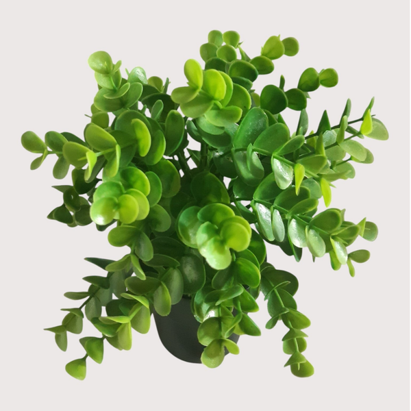 Zielony krzaczek w doniczce, 23 cm, kod: 4851