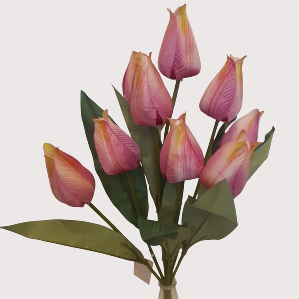 Tulipan – bukiet 9 kwiatów 48 cm, fioletowy, kod: 2209
