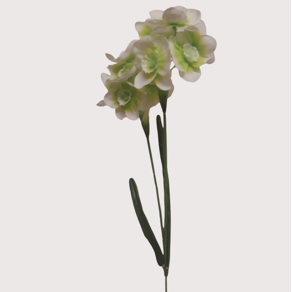 Żonkil ozdobny – gałązka dekoracyjna, 64 cm, biało zielony, kod: 427